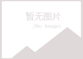 阳山县忆伤工程有限公司